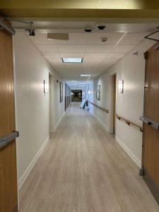 Professional Painters in Minnesota